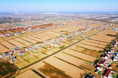 啟東鄉(xiāng)村游再登央視，沙地圩田文化與創(chuàng)新投資雙輪驅(qū)動(dòng)